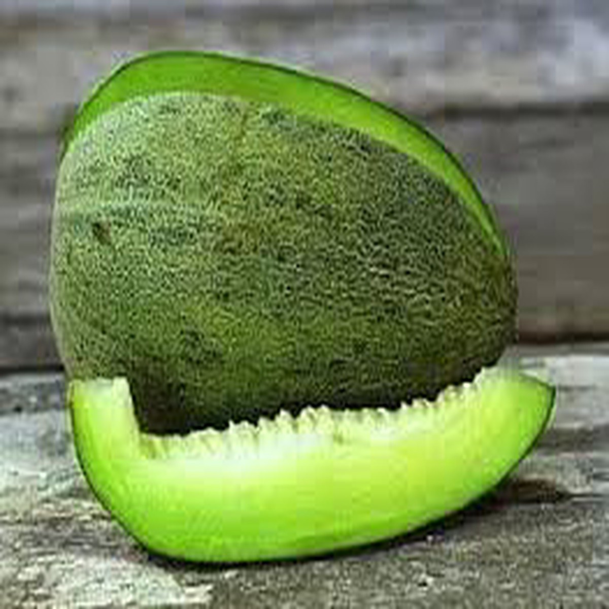Bateekh Samara Melon Seeds  Sweet & Refreshing Melon Variety