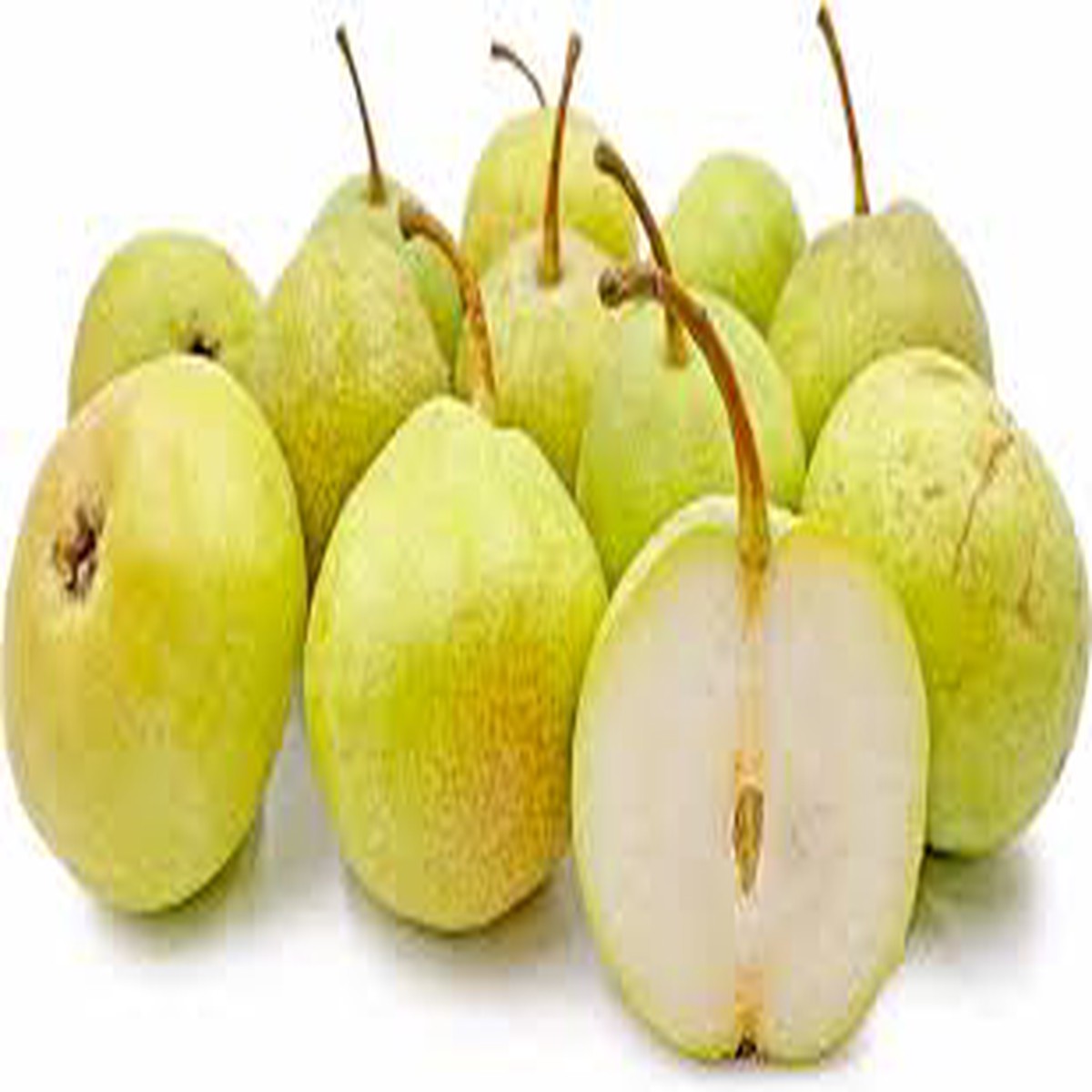 Duchess Pear Fruit Seeds for Planting  Heirloom, Non-GMO, High Germination Organic Garden Seeds for Crisp, Juicy Pear Trees