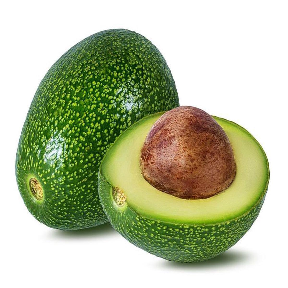 Wurtz (Littlecado) Avocado Seeds Fruit Seeds for Planting Heirloom Non-GMO High Germination Organic Garden Seeds