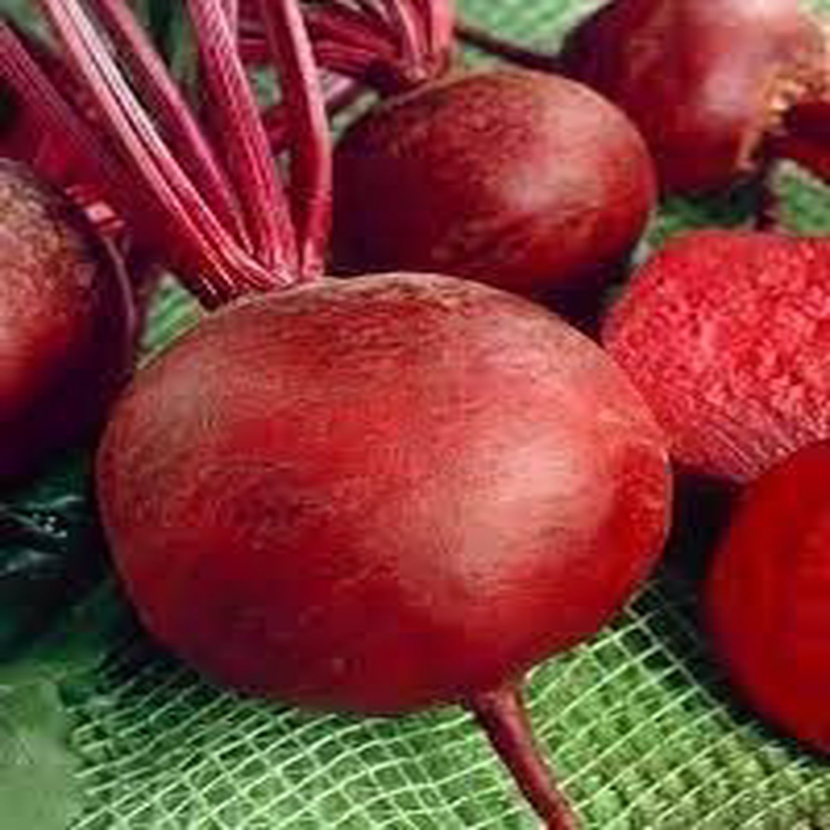 Beetroot Seeds Grow Nutrient-Rich & Earthy Beetroots