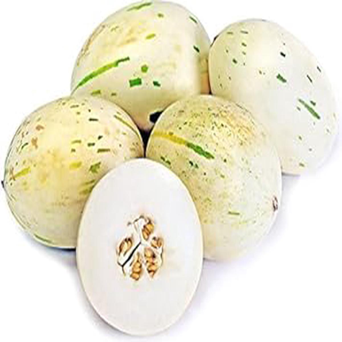 White Leopard Melon Vegetable Seeds for Planting  Uncommon Fruit Varieties, Heirloom & Non-GMO, High Germination