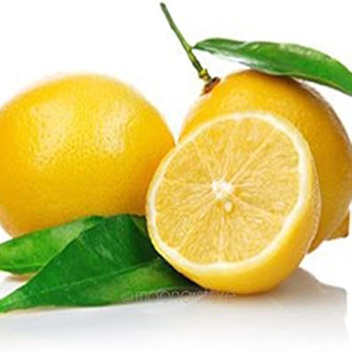 Yellow Lemon Fruit Seeds Heirloom & Non-GMO Seeds for Growing Luscious Lemons in Your Home Garden