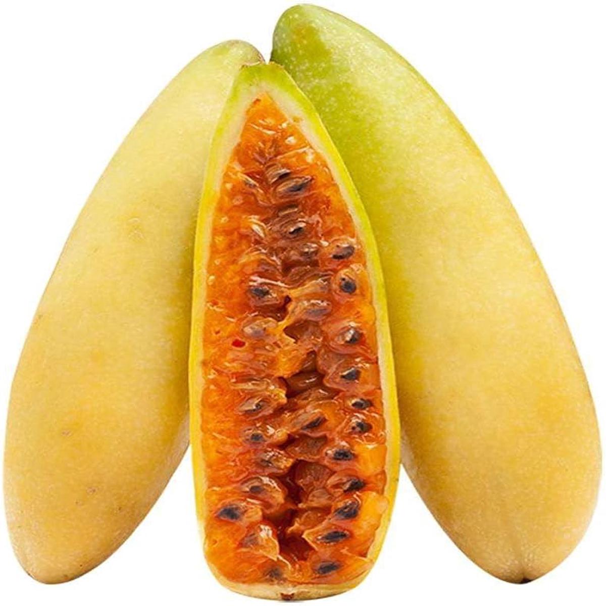 Banana Passion Fruit Seeds for Planting High-Quality, Non-GMO, Heirloom, Sweet & Tropical Fruits