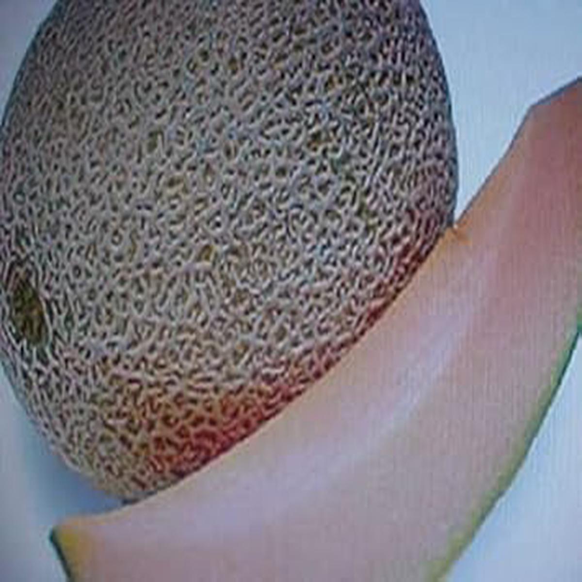 Brown Cantaloupe Melon Fruit Seeds for Planting Sweet, Aromatic Melons, Heirloom & Non-GMO, High Germination Seeds