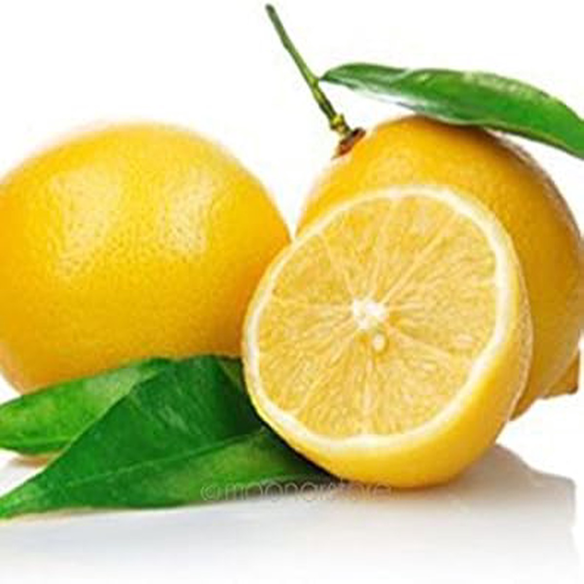 Yellow Lemon Fruit Seeds Heirloom & Non-GMO Seeds for Growing Luscious Lemons in Your Home Garden