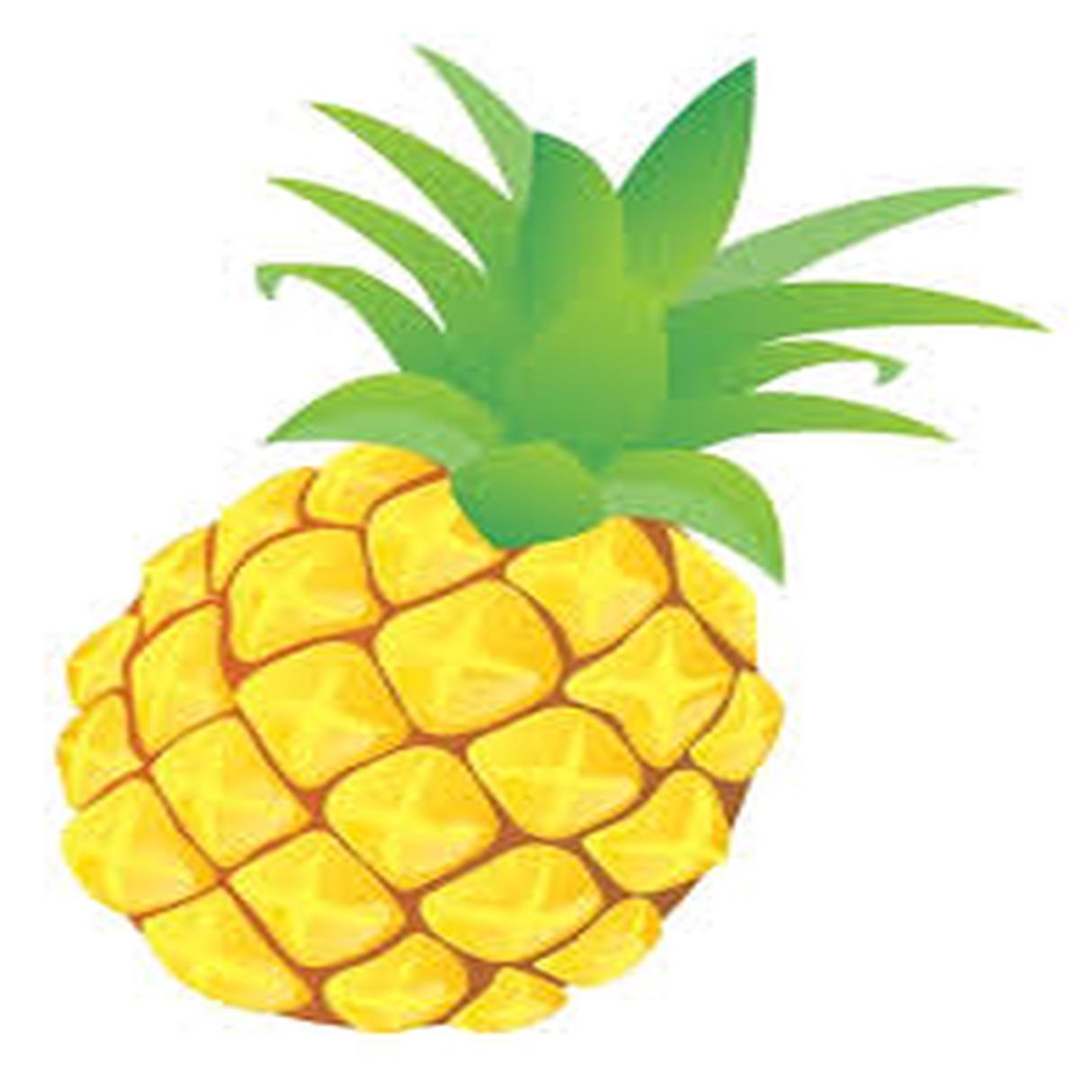 Yellow Pineapple Fruit Seeds for Planting  Start Your Own Pineapple Garden, Heirloom & Non-GMO Seeds for Home Garden
