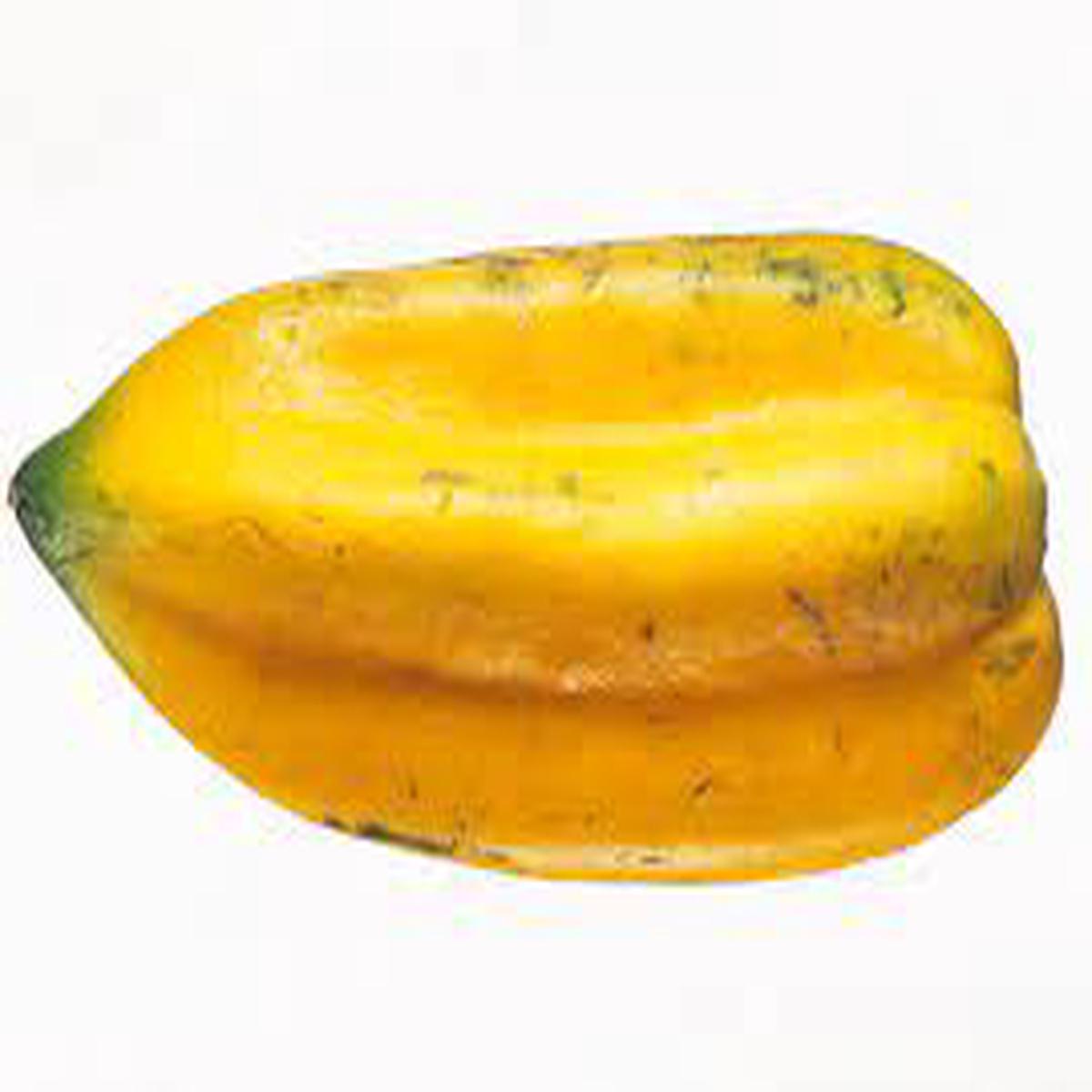 Babaco Papaya (Vasconcellea  heilbornii) Fruit Tree Seeds for Planting  Heirloom Non-GMO Organic Garden Seeds