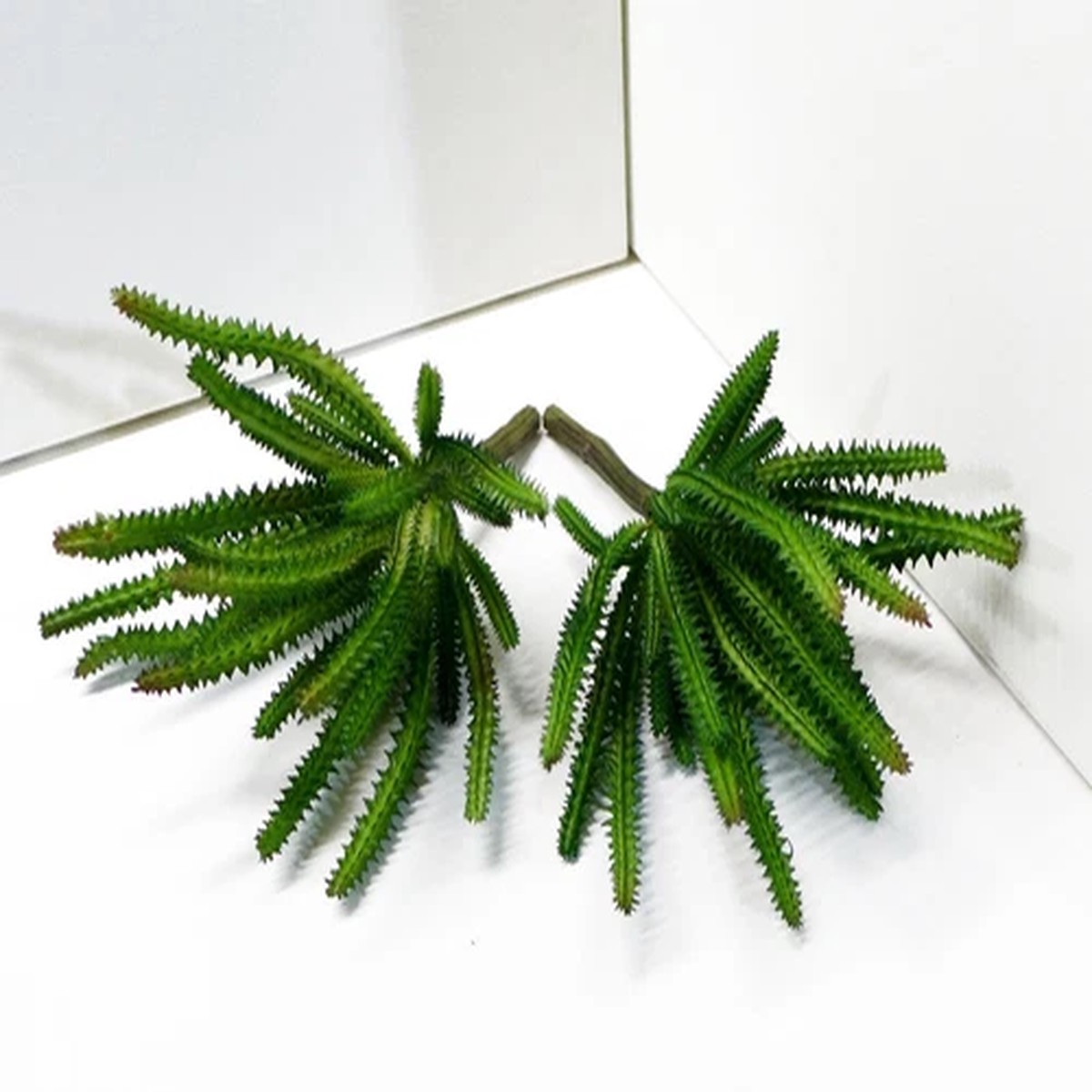 2 Pcs Artificial Fake Cactus Column Succulents Plants Green Home Garden (#123 B)