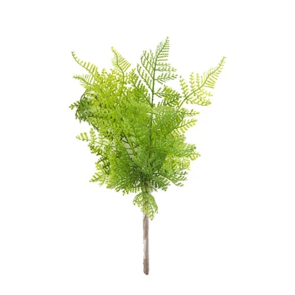 2 Pcs Fern Decoration Fake Decorative Artificial Flora Ferns Green Plants