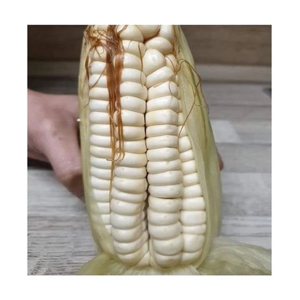 25x White Corn Stowell's Evergreen Cereal Plants - Seeds A280