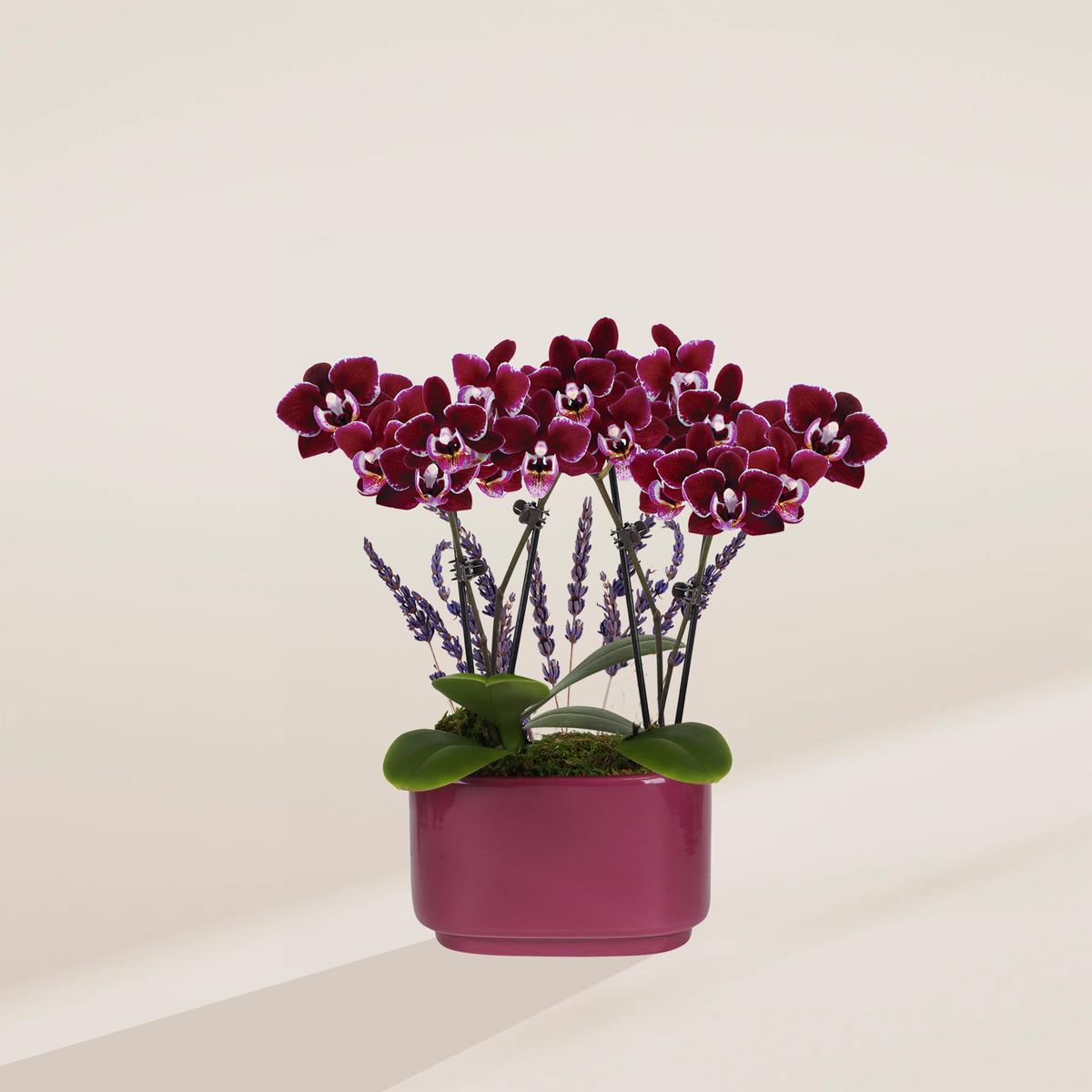 Purple Orchid & Lavender Centerpiece