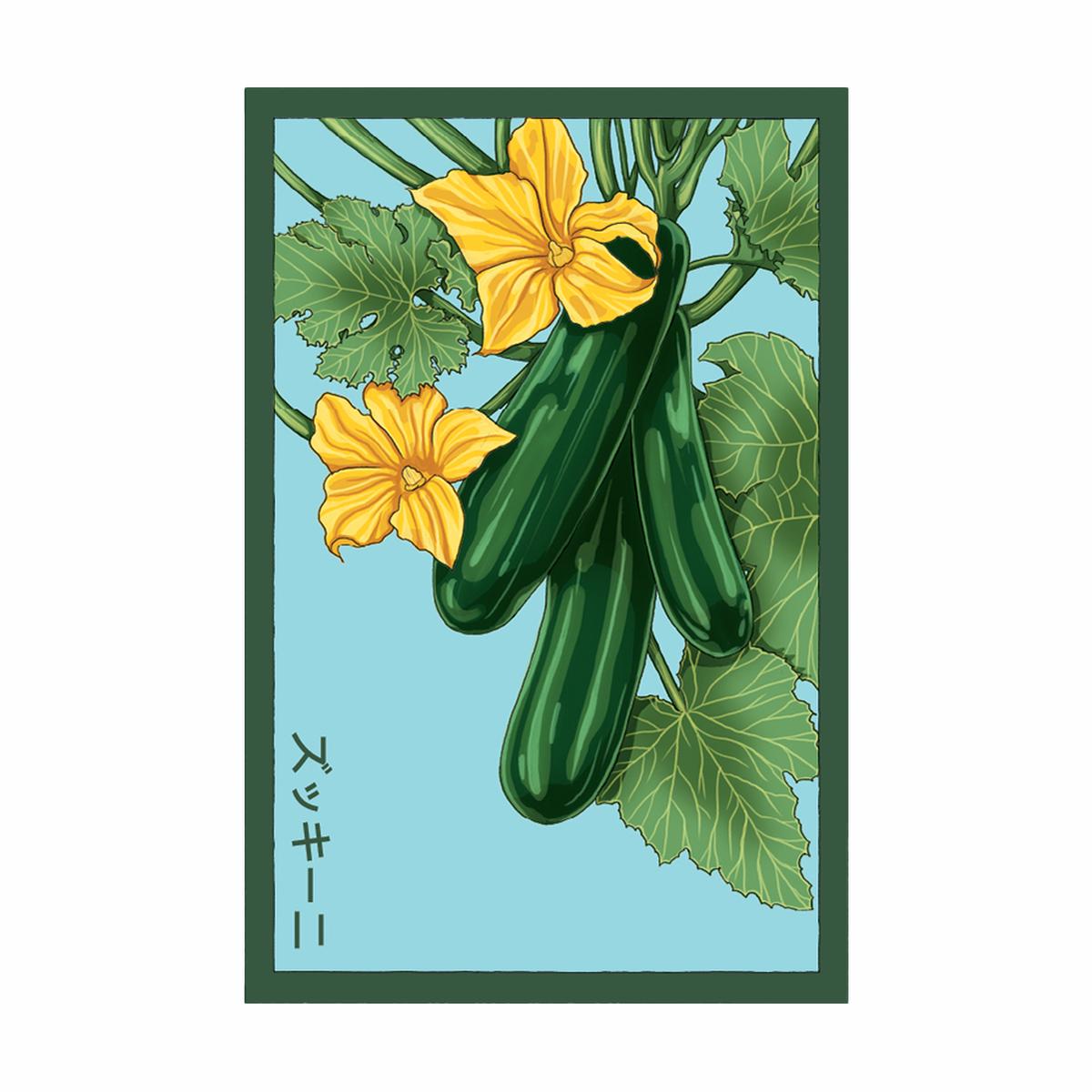 Zucchini Vegetable Seeds Packet