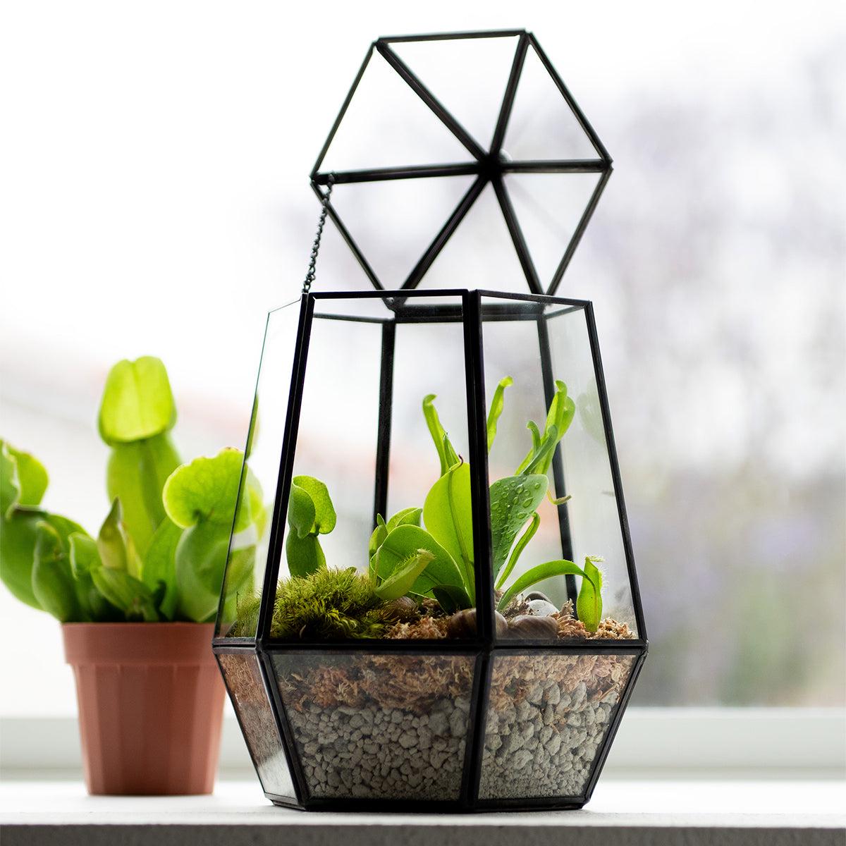 SuperMoss Faceted Glass Atrium