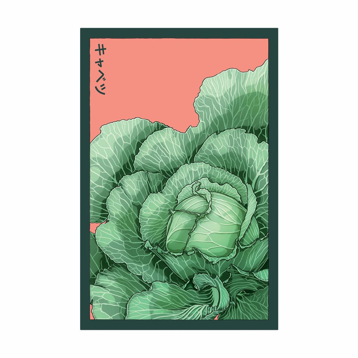 Cabbage Vegetable Seeds Packet
