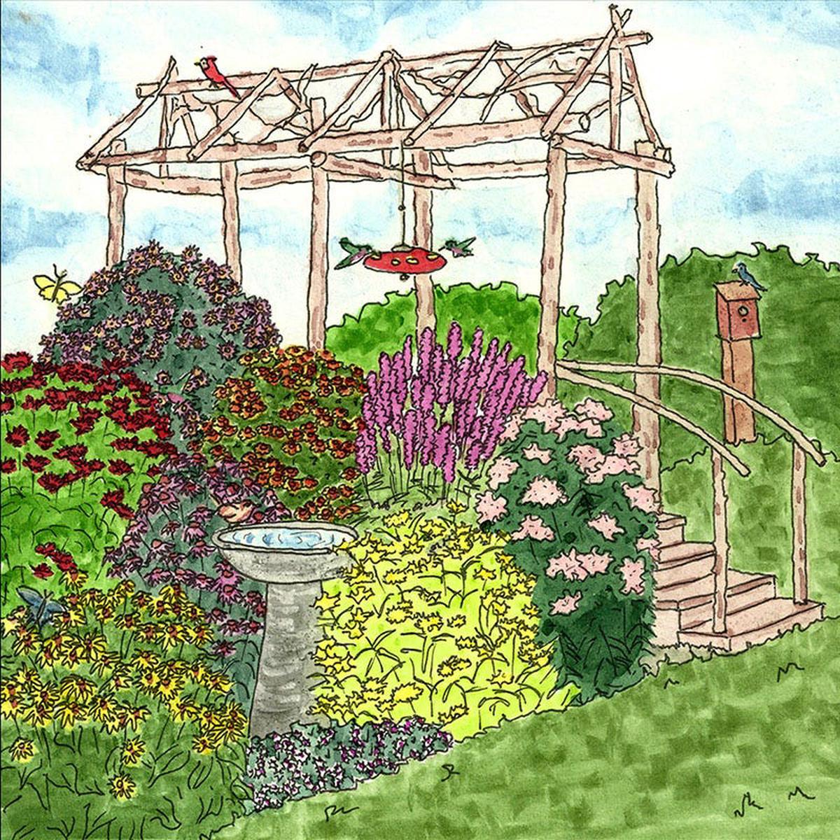Natural Nectar Native Pre-Planned Garden