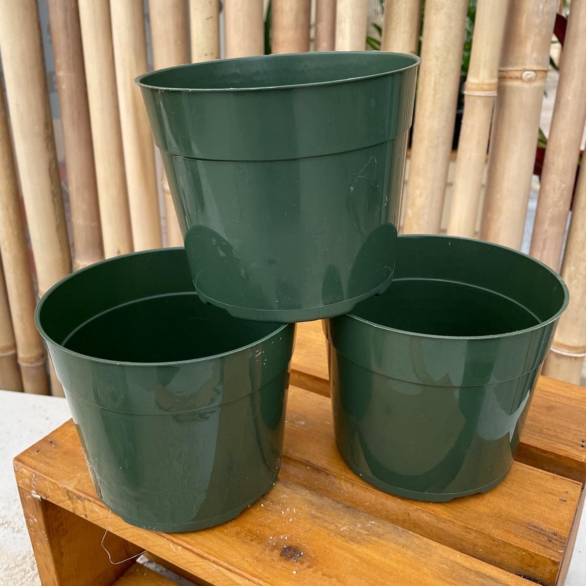 5.5" Round Pot
