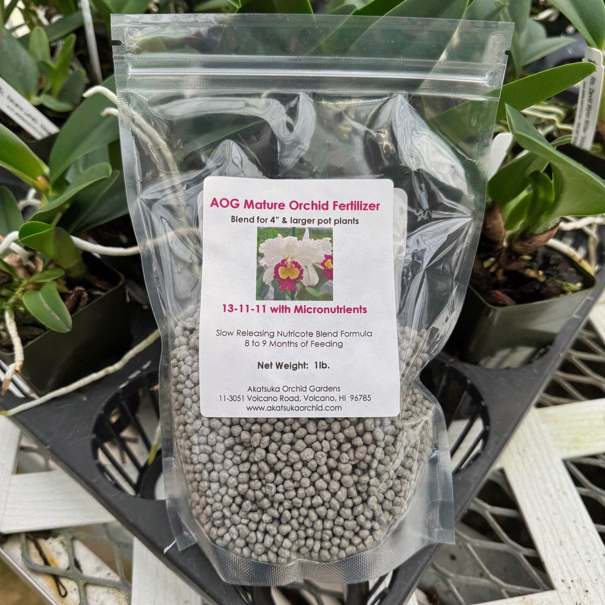 AOG Mature Orchid Food