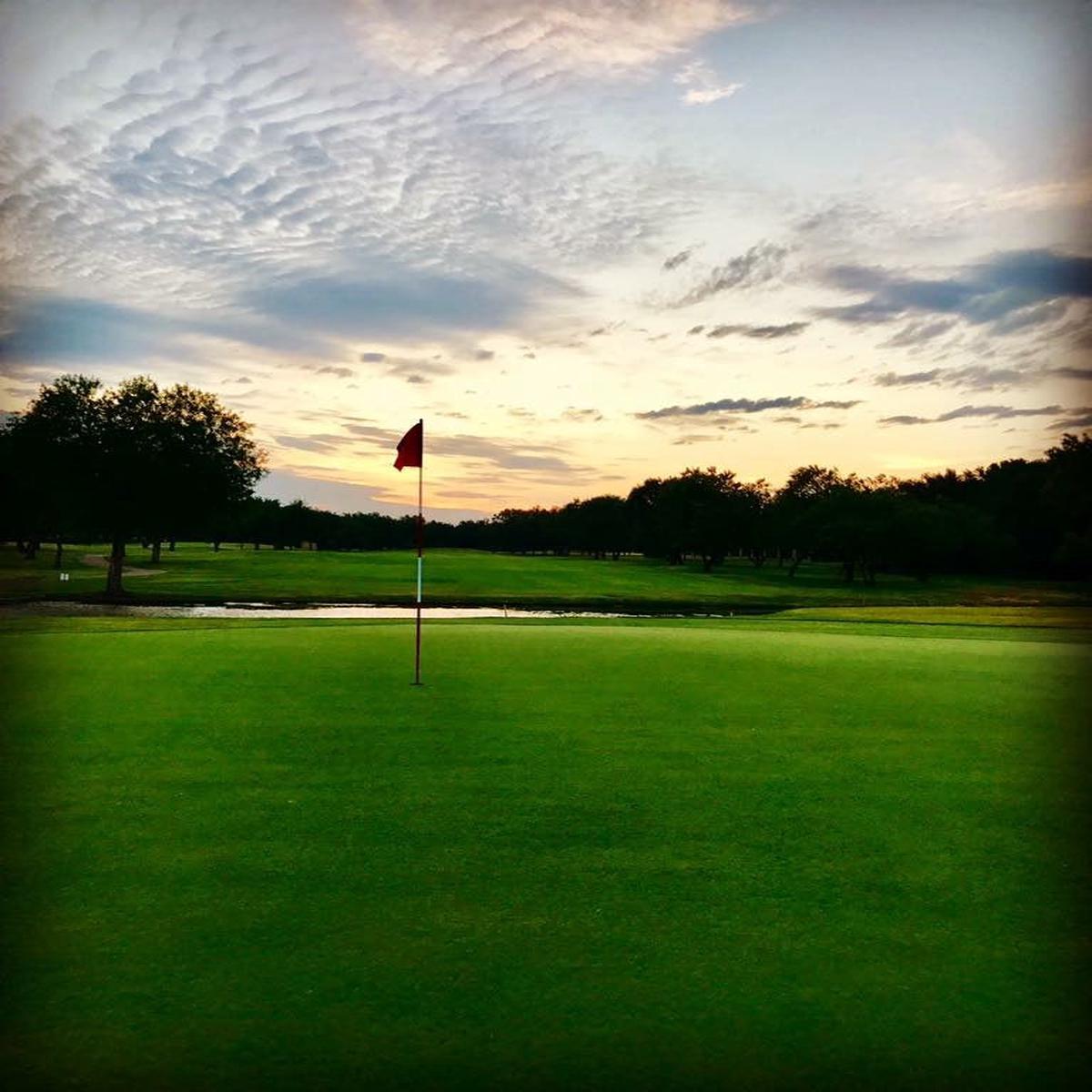 007 Creeping Bentgrass Seed (Pre-Order)