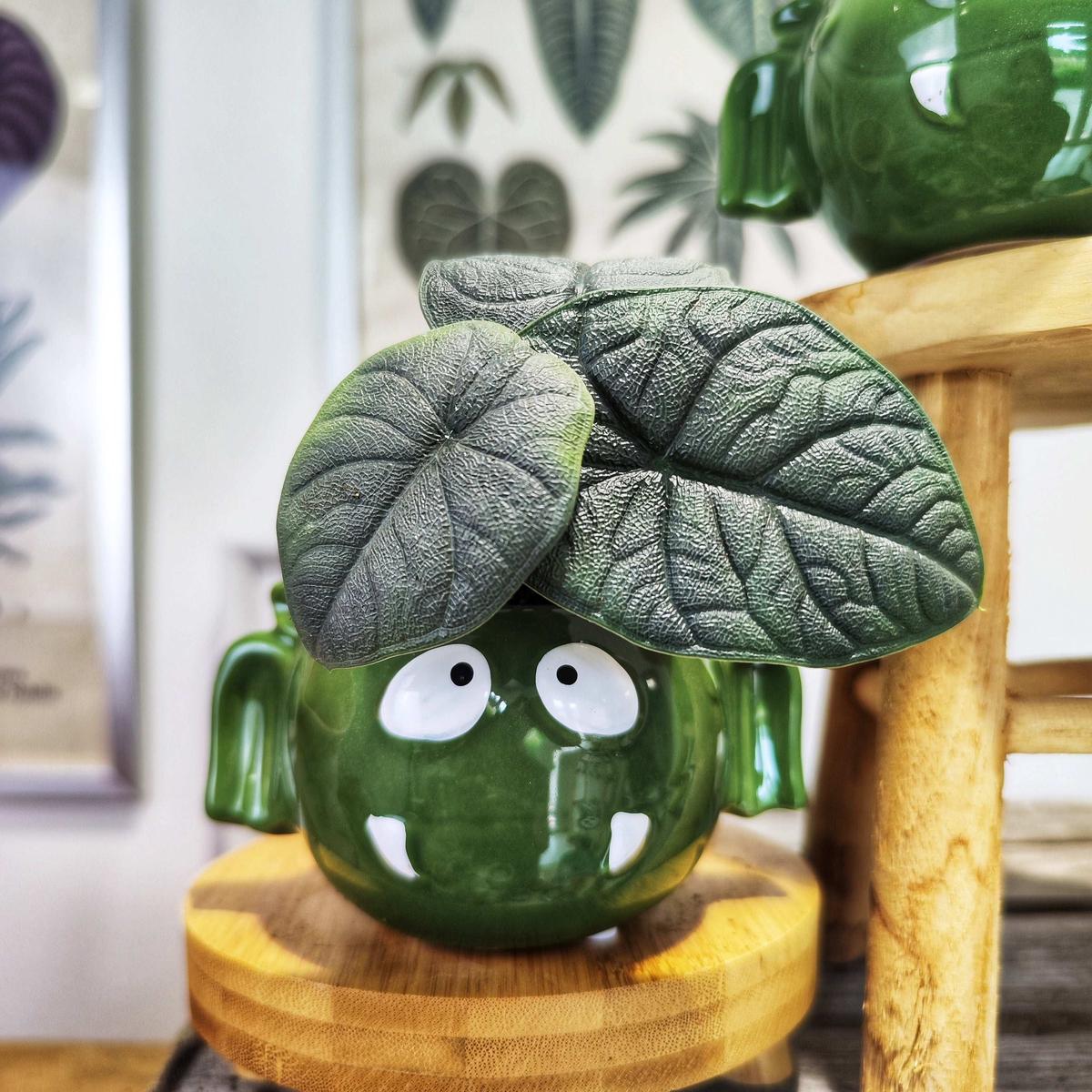 Alocasia Melo (S)