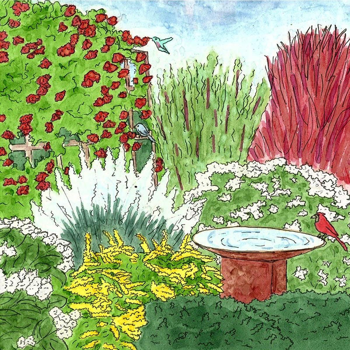 Native Mid-Atlantic Songbird Pre-Planned Garden