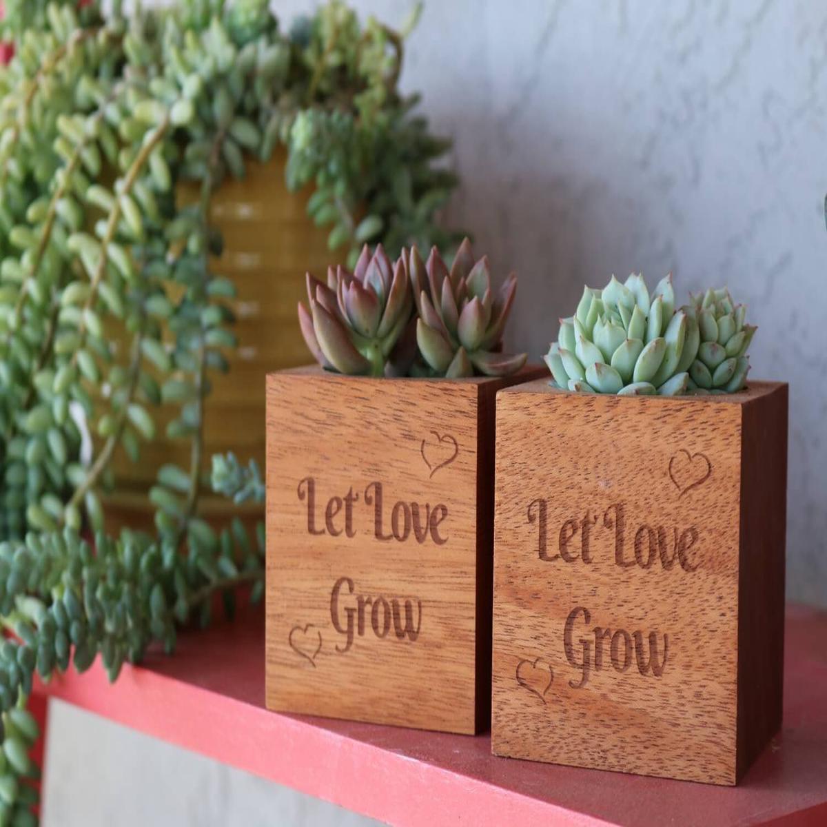 Mahogany Wood - Say It with Succulents