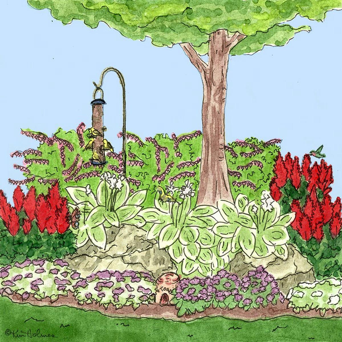 Shady Nook Pre-Planned Garden