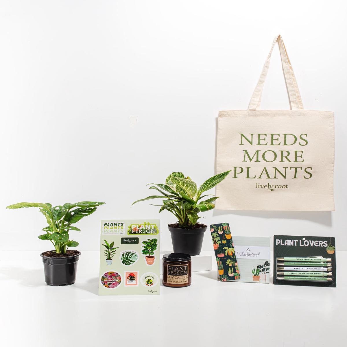 Ultimate Care Package: Unique Plants