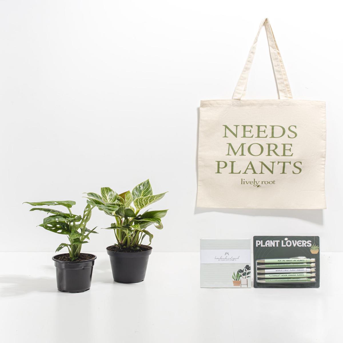 Study Buddy Care Package: Unique Plants