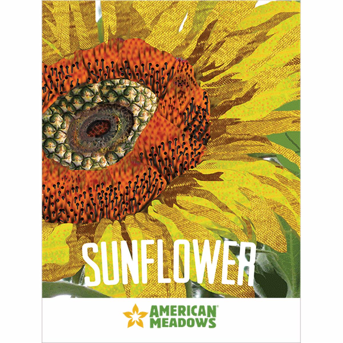 Sunflower Art Print Seed Packet
