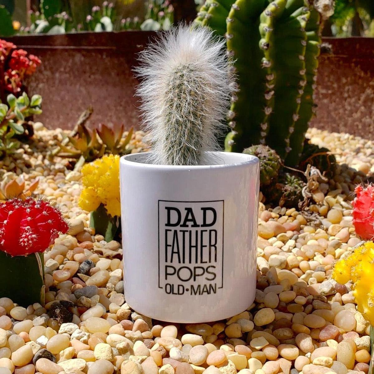 Father's Day OLD MAN Cactus Pot