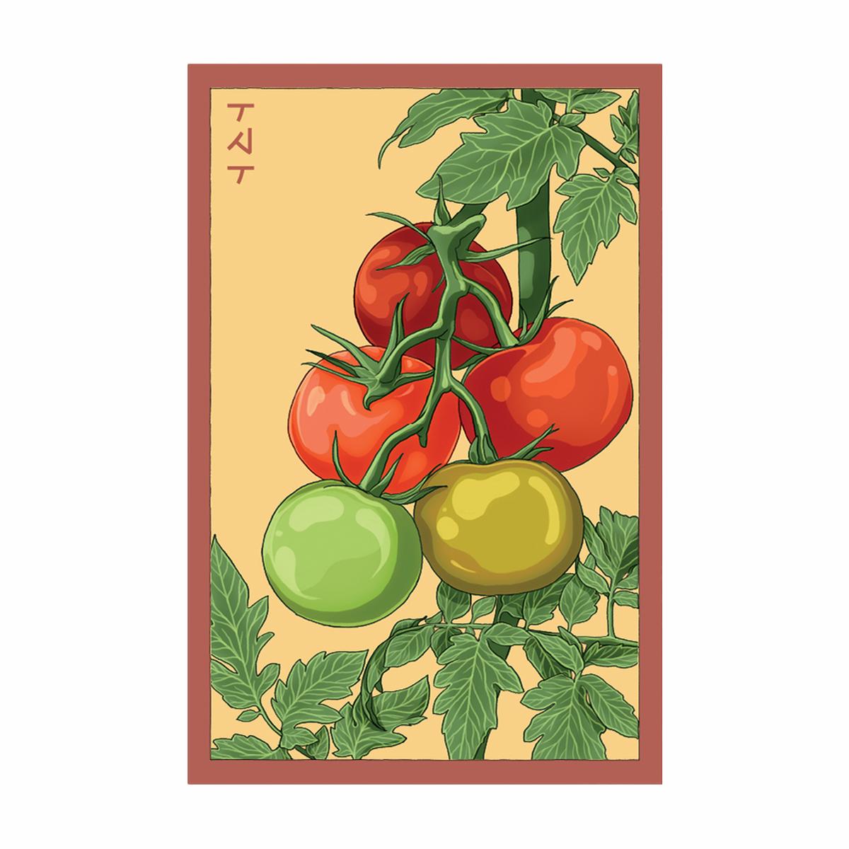 Beefsteak Tomato Vegetable Seeds Packet