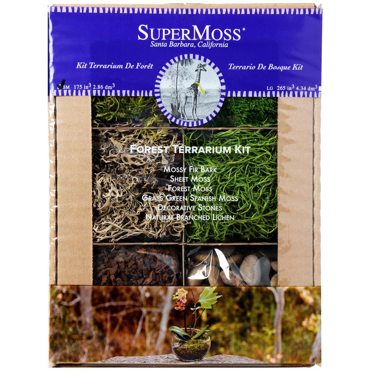 SuperMoss Terrarium Kit - Forest Kit