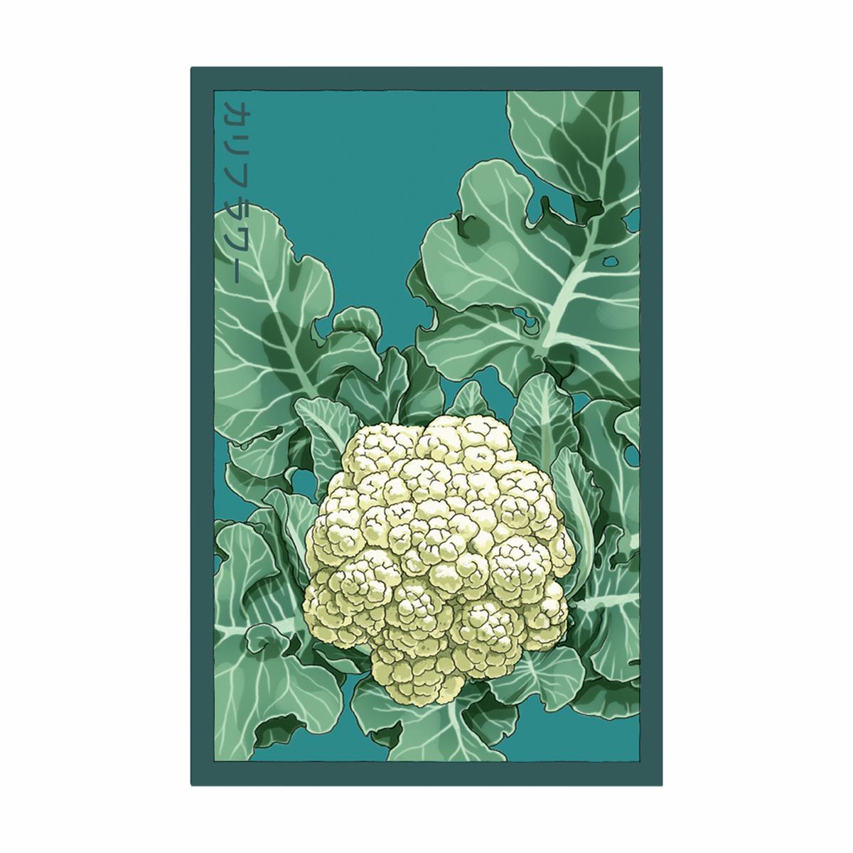 Cauliflower Vegetable Seeds Packet