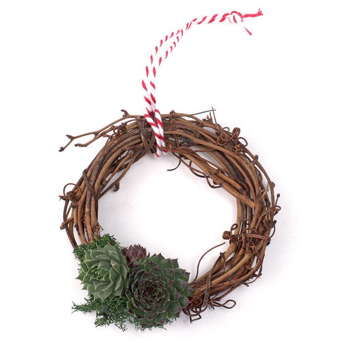 Hanging Wreath - Succulent Ornament