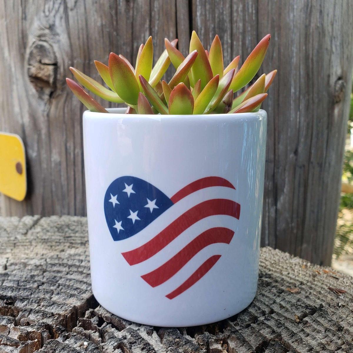 USA Flag Succulent Pot
