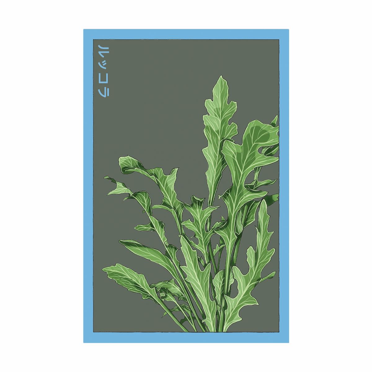 Arugula Vegetable Seeds Packet