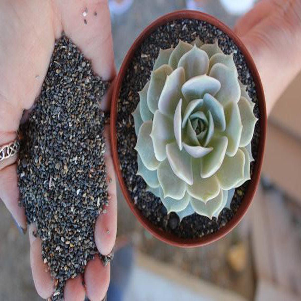 Potting Gravel 3 lbs - Black Pearl or Salmon