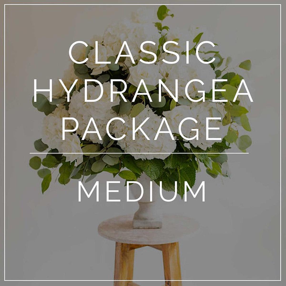 Classic Hydrangea- Medium Package