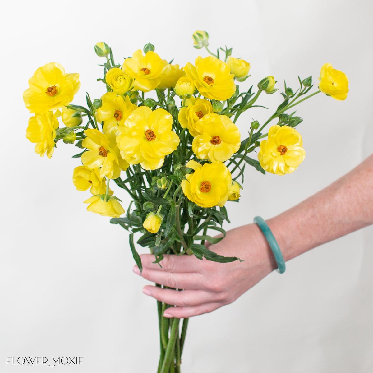 Yellow Butterfly Ranunculus