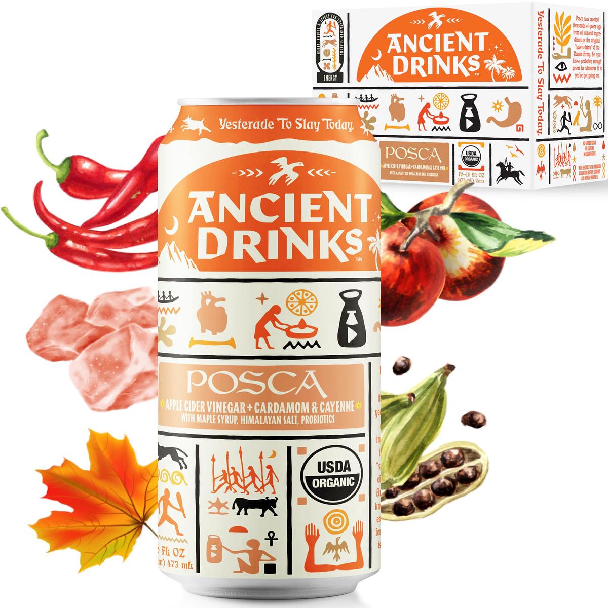 ANCIENT DRINKS Apple Cider Vinegar Beverage with Electrolytes & Probiotics, Organic, 16 fl oz, Posca (Cayenne & Cardamom) -
