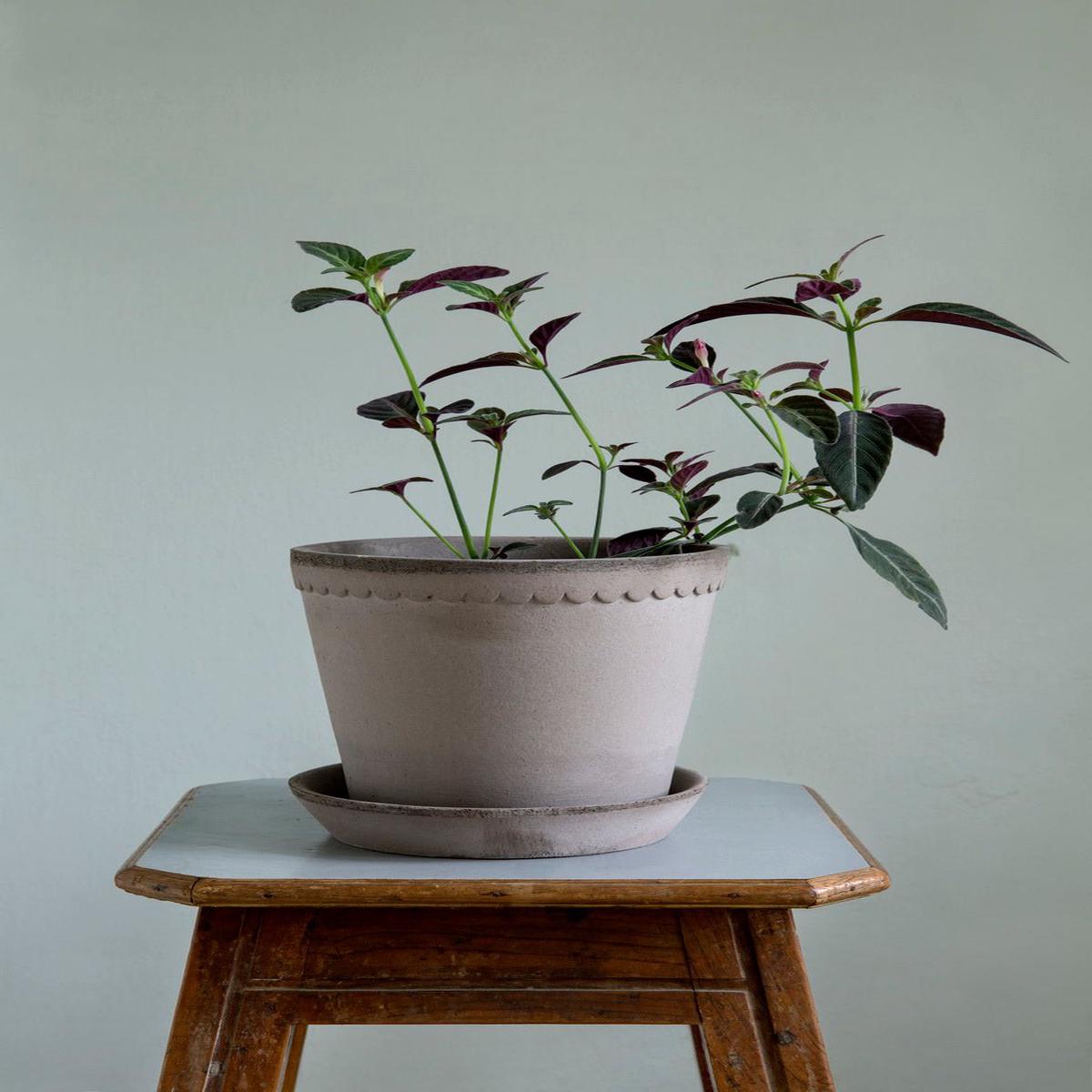 Bergs Potter Helena Pot Grey with Saucer