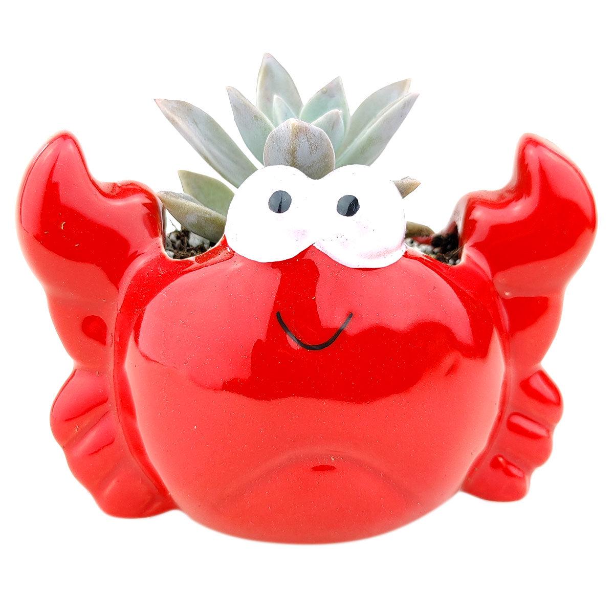 Crab Planter