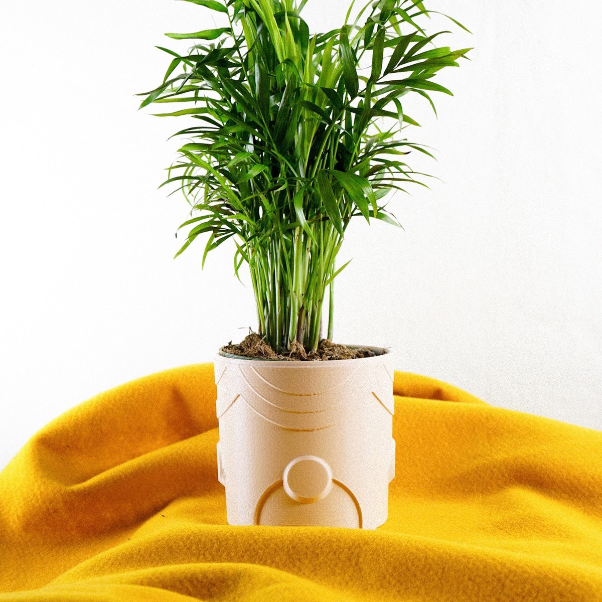 Deep Space Planter RainbowColorVaries4InchWithDripTray