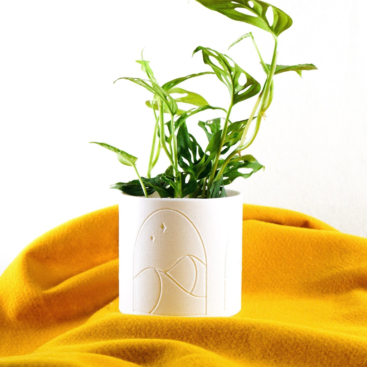 Desert Scape Planter Green5InchWithDripTray