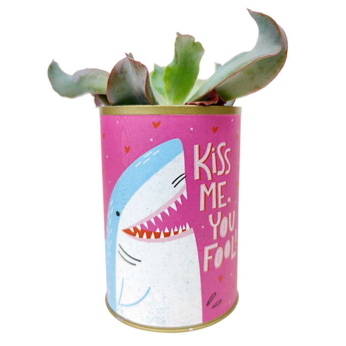 Punny Can - Kiss Me You Fool