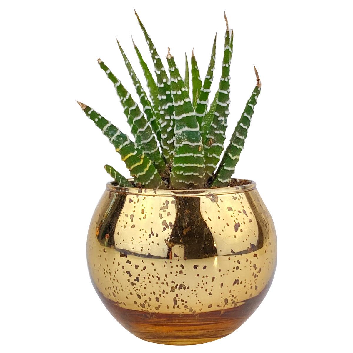 Round Gold Glitter Pot