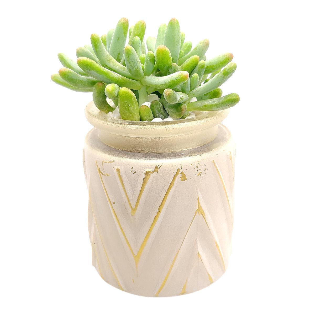 White Chevron Pattern Planter