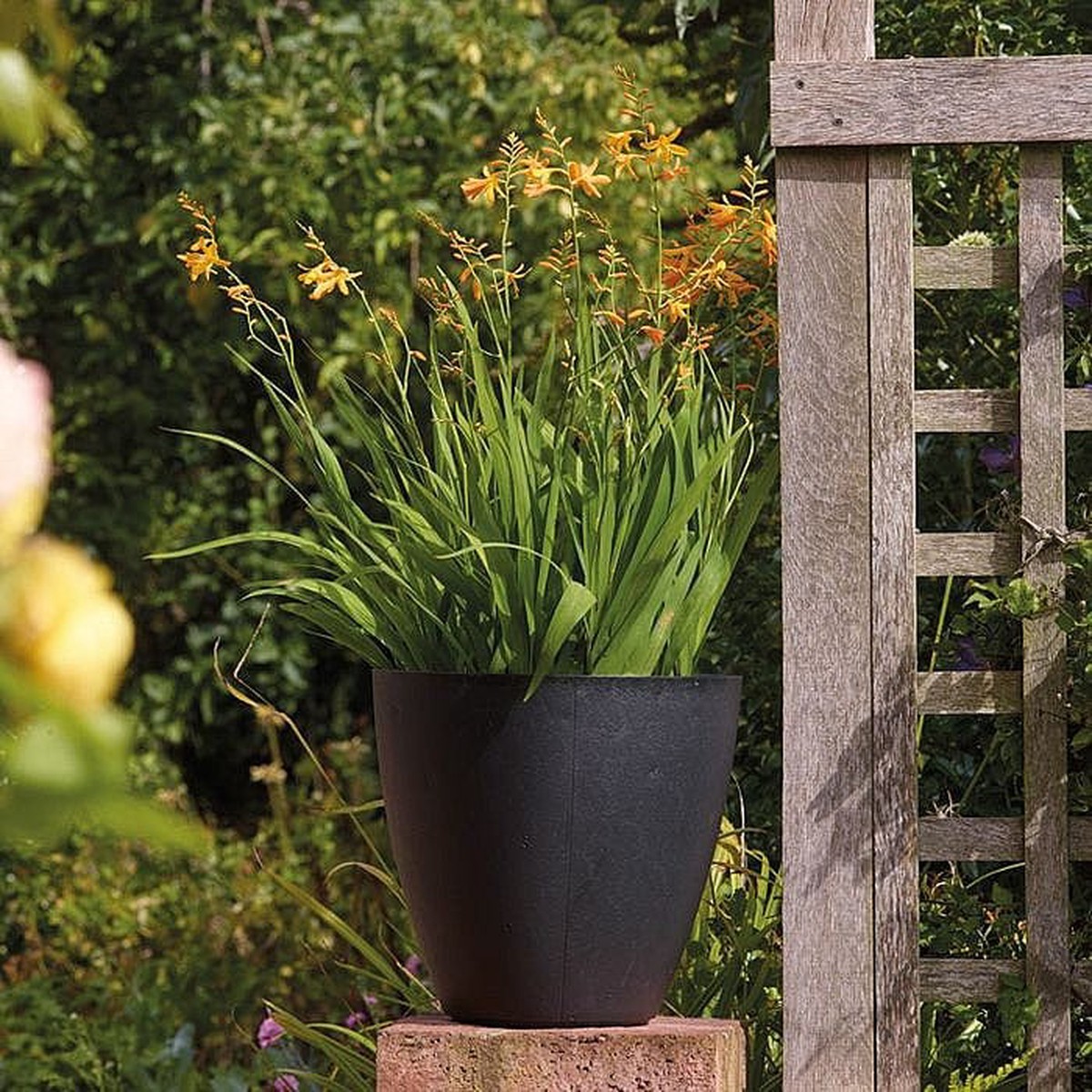 Stewart 40cm Basalt Low Round Planter