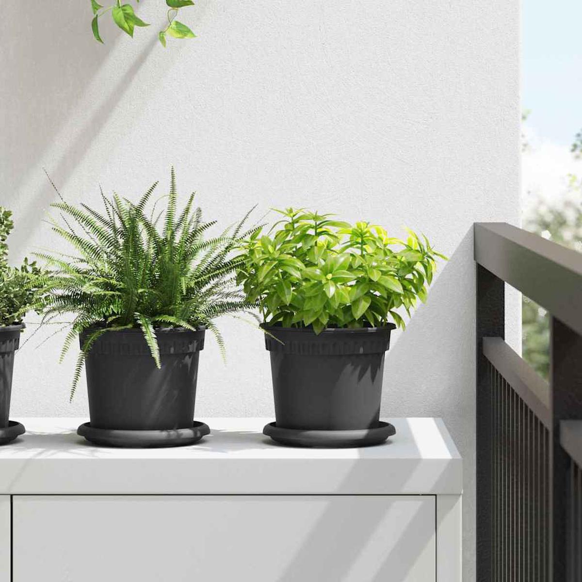 vidaXL Round Flower Pot 6 pcs Black  15 x 12 cm Plastic