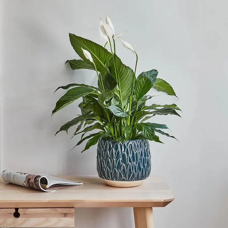 Arles Leaf Embossed Teal Planter 20cm Height 22cm Width